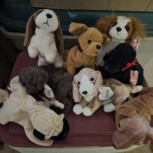 Assorted TY Plush Dog Toys